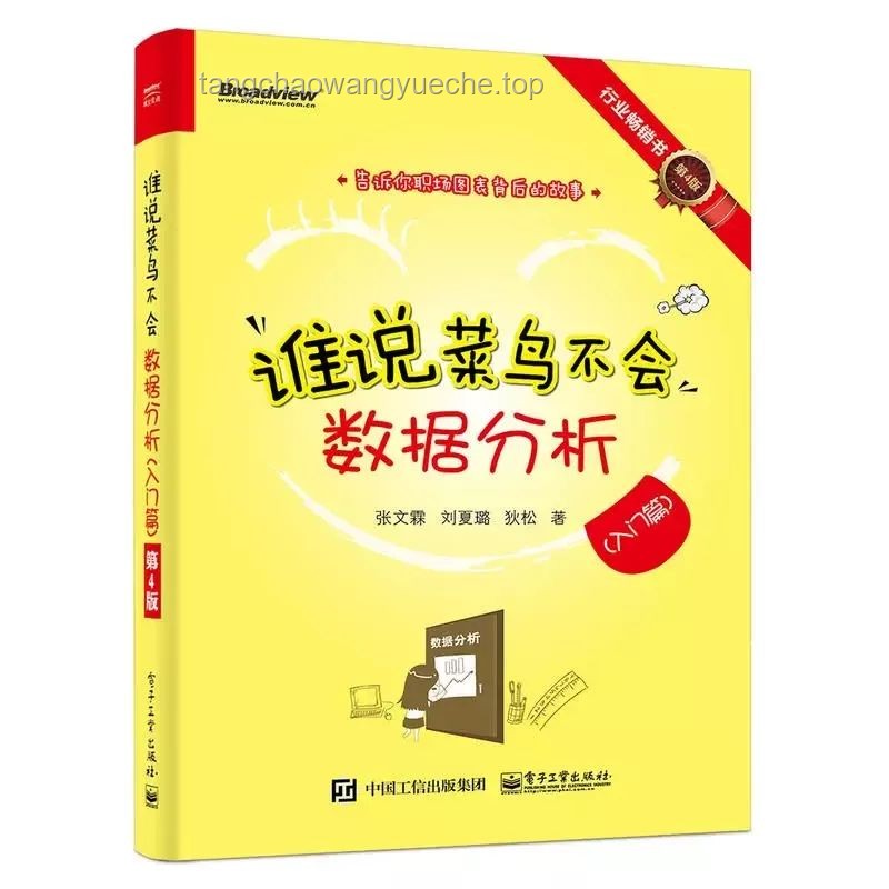 掌握Excel高效技巧，提升数据处理能力